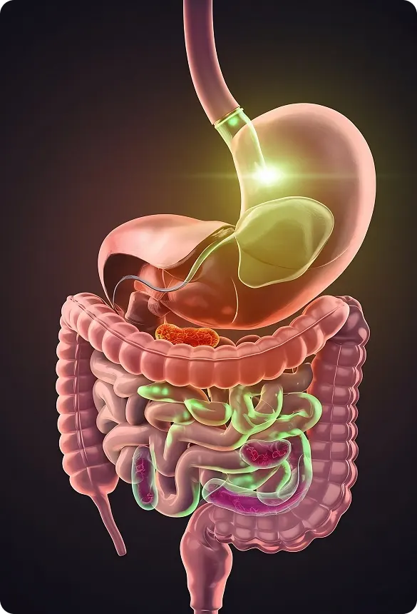 Semaglutide-image-new